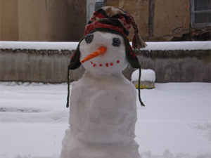 Un nuevo alumno este invierno.